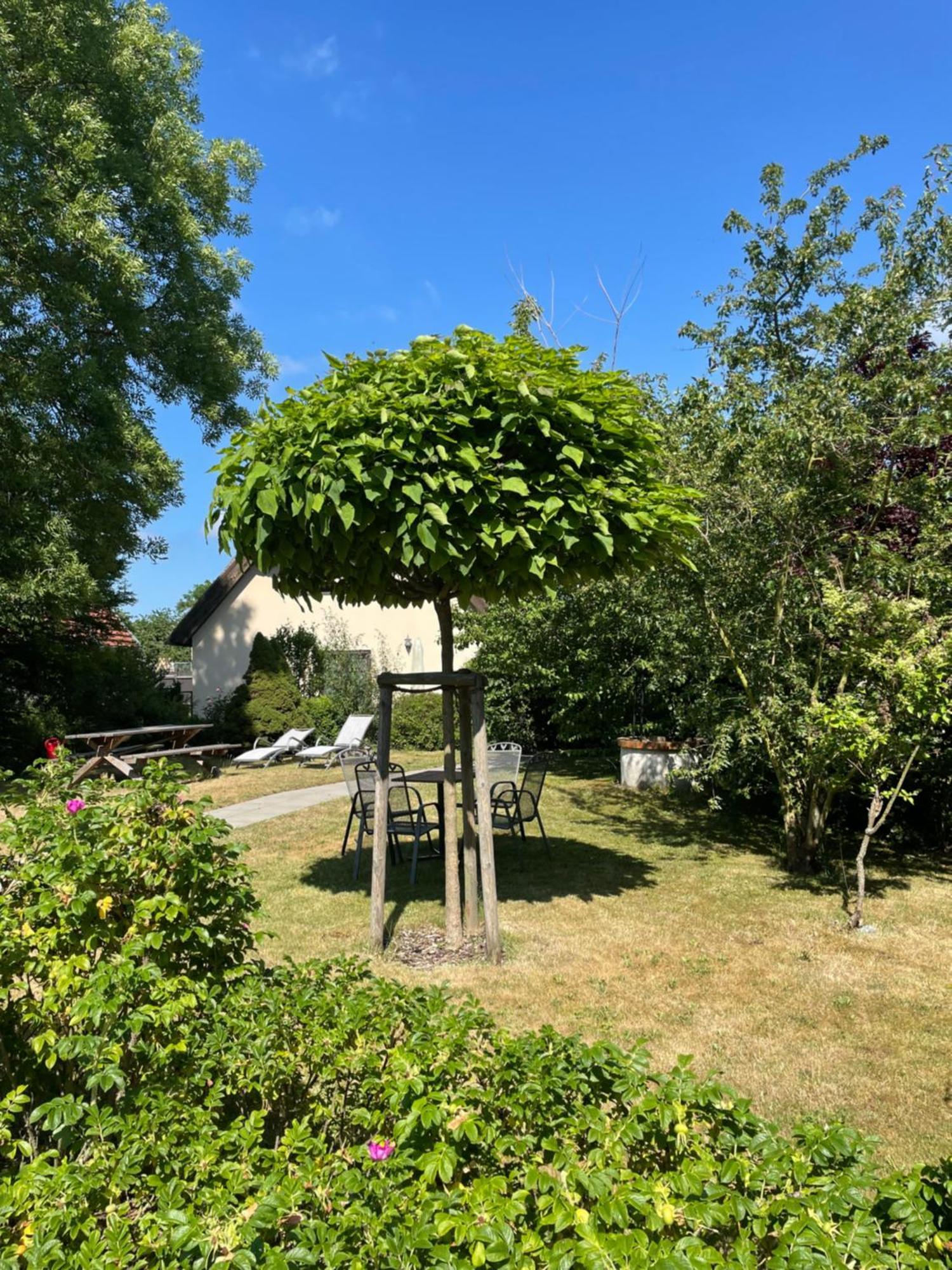 Fischerhus In Krummin - Nur Fuer Urlauber 外观 照片