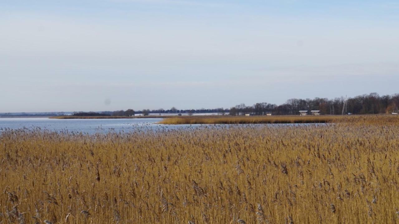Fischerhus In Krummin - Nur Fuer Urlauber 外观 照片